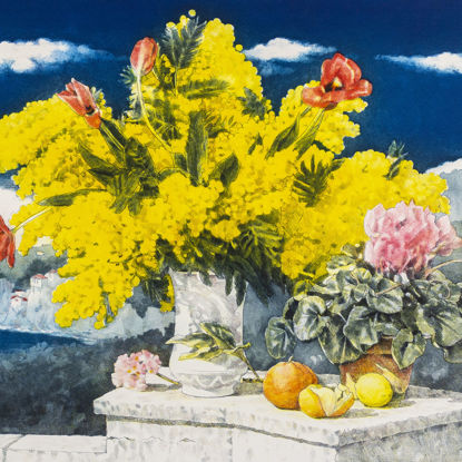 Immagine di Mimose sul mare