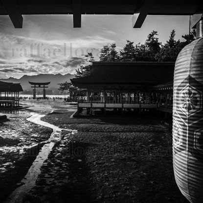 Immagine di From the World_14 Miyajima