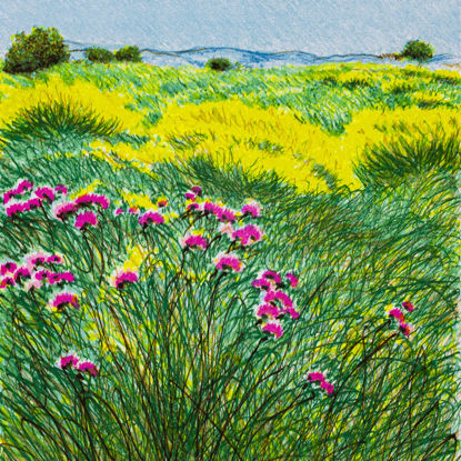 Immagine di Campo in fiore