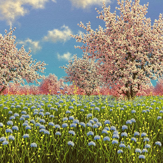 Immagine di Incantesimo