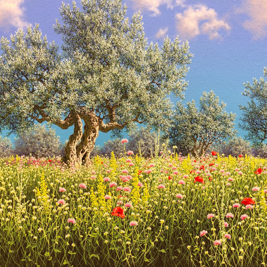 Immagine di Attesa premiata