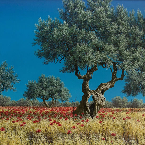 Immagine di Nuove certezze