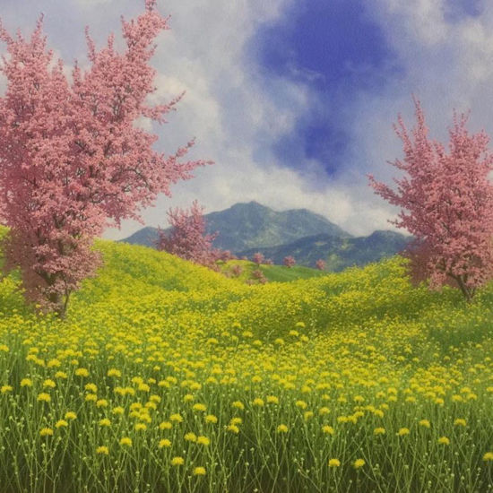 Immagine di Compagnie primaverili