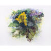 Immagine di Girasole