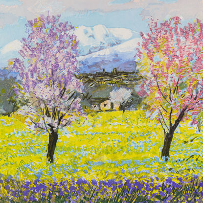 Immagine di Estate in Toscana