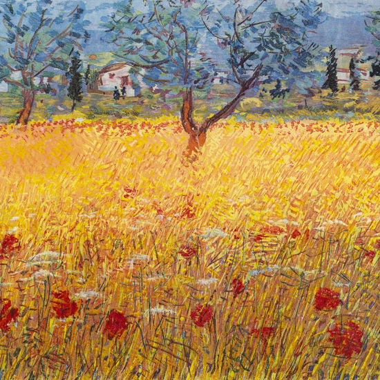 Immagine di Campo di grano in Abruzzo