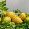 Immagine di Natura morta con limoni