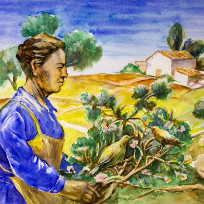 Immagine di Donna Concetta e i canarini
