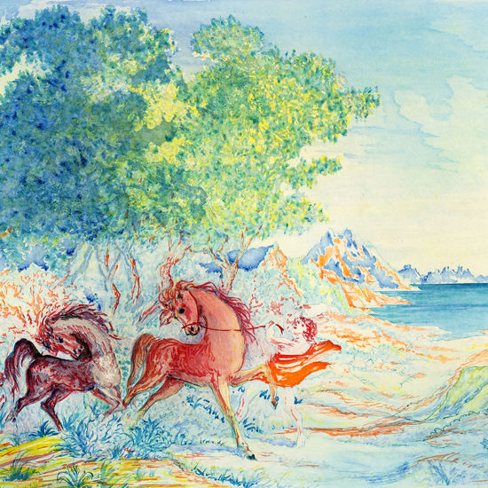 Immagine di I cavalli dell'isola