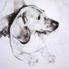 Immagine di Figura con cane II