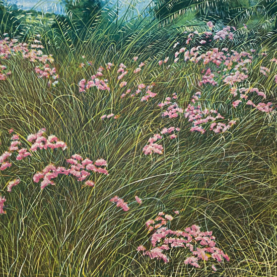 Immagine di Campo di fiori
