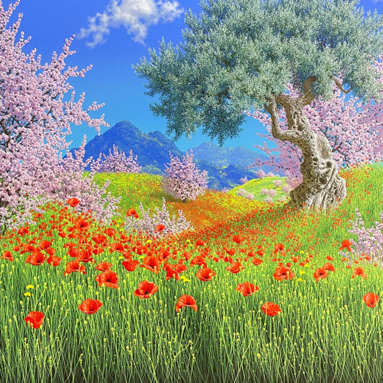 Immagine di Verso Piazza Armerina