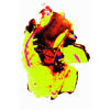 Immagine di Flower 02