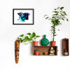 Immagine di Mynang blue