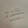 Immagine di Velluto