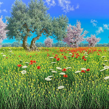 Immagine di Desideri esauditi