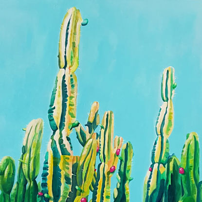 Immagine di San Pedro cactus