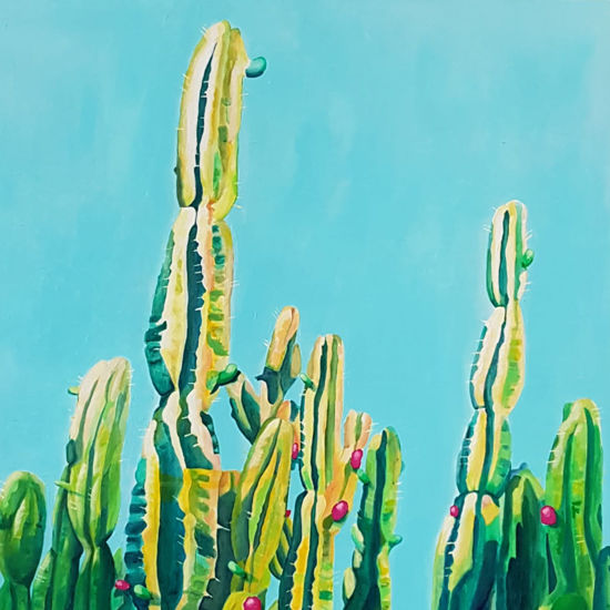 Immagine di San Pedro cactus