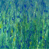 Immagine di Iris blu