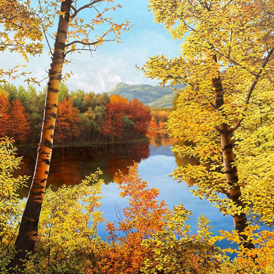 Immagine di Il paesaggio