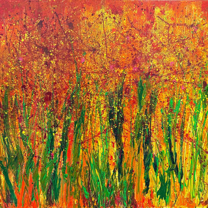 Immagine di Fiori pazzi