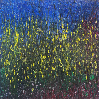 Immagine di Notturno con ginestre