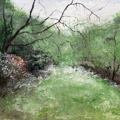 Immagine di Verso il fiume Oreto
