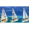 Immagine di Regata