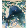 Immagine di Visioni liquide 01