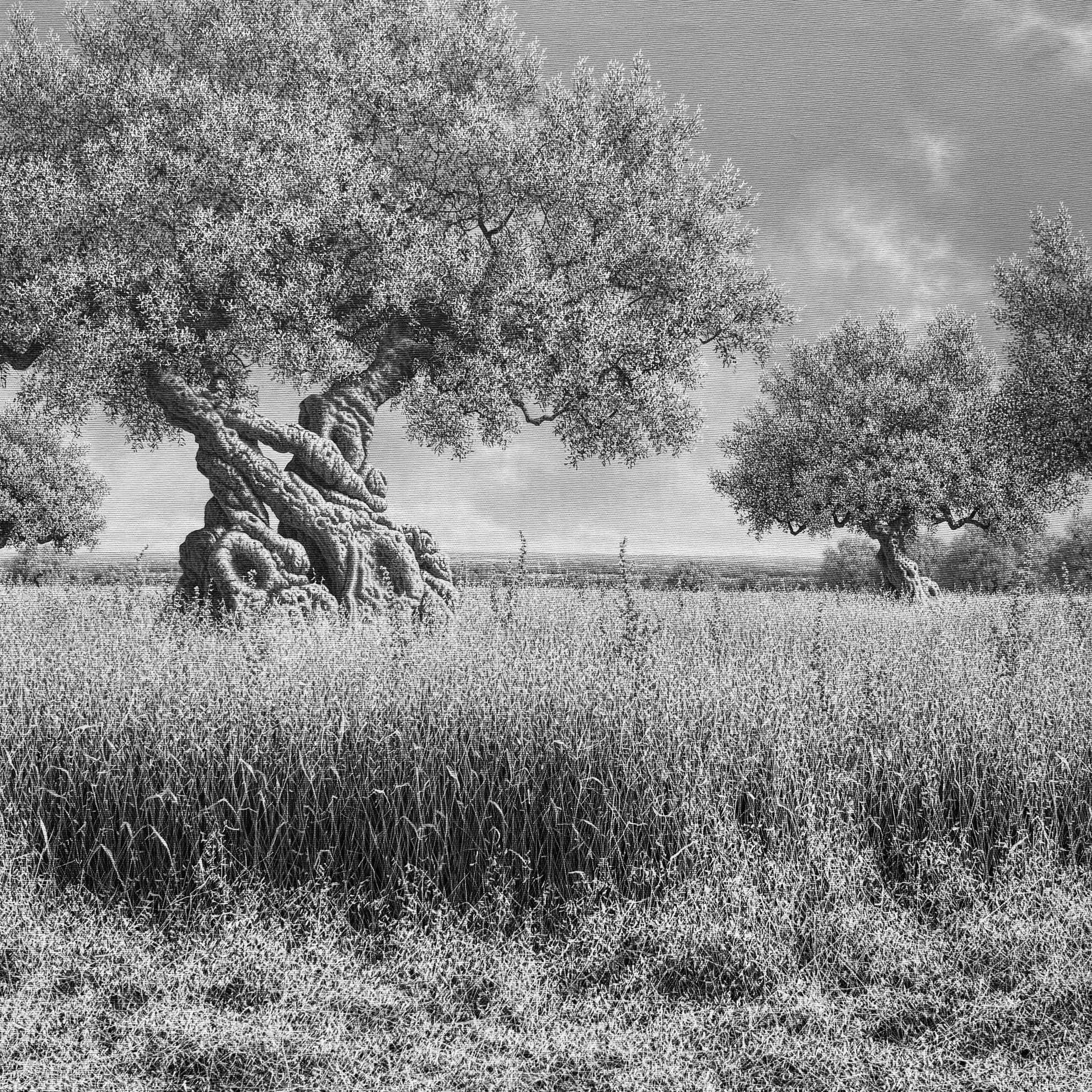 La Bellezza Iperrealista di Navarra