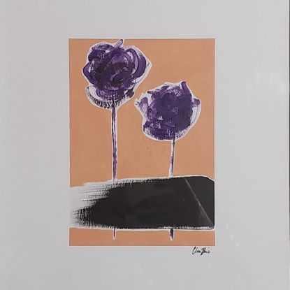 Immagine di The purple flowers
