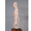 Immagine di MetaForma Torso