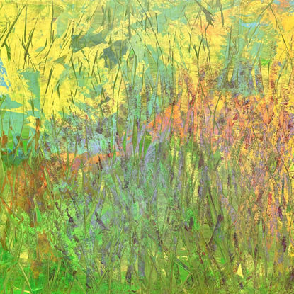 Immagine di Nel giardino dei ricordi