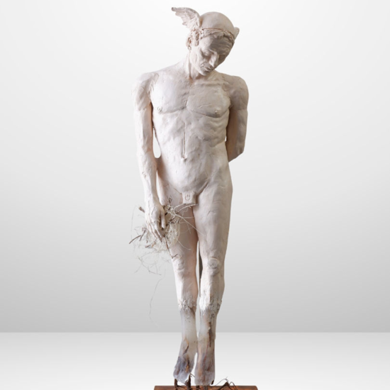 Immagine di MetaErmes