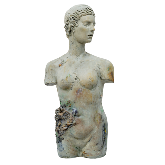 Immagine di MetaForma W