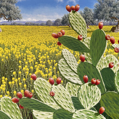 Immagine di Papillon