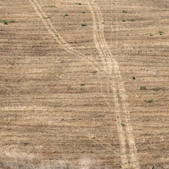 Immagine di Terra di Sicilia