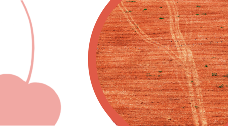 Immagine per la categoria SERIE ESCLUSIVE