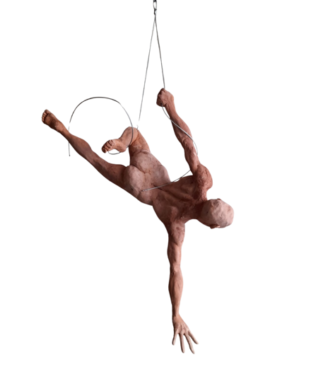 Immagine di Extension